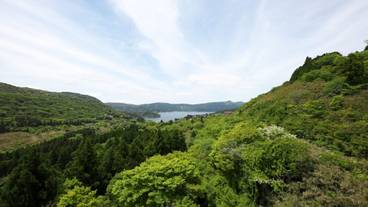 客室からの景観② / 9