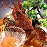 地元の新鮮魚介が満載
2種類から選べる夕食 / 2