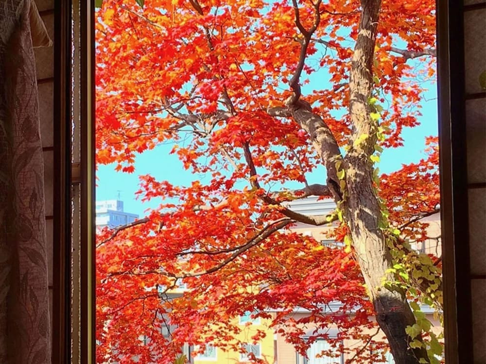 部屋からの景観
