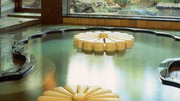 菊風呂 内風呂 / 1