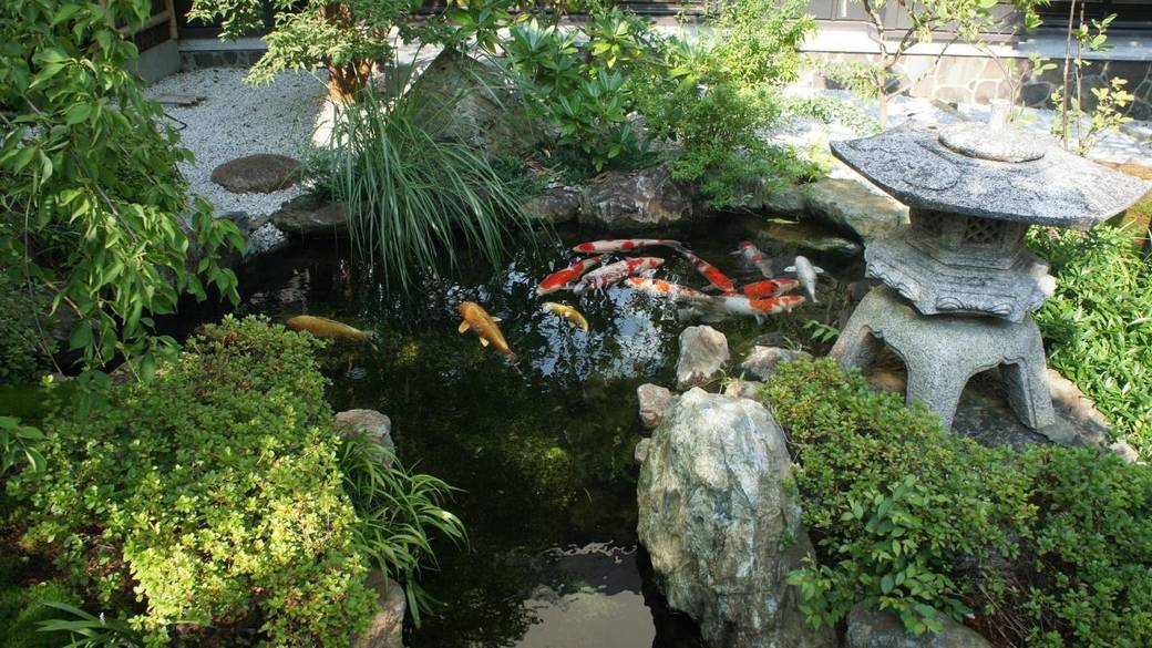 早めのチェックインで
充実のおこもり時間 / 2