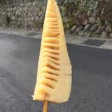 旅荘　桜山荘　花屋 （リョソウオウザンソウハナヤ）