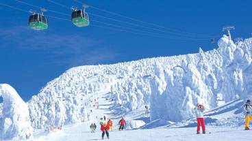 スノー スポーツとスキー / 1