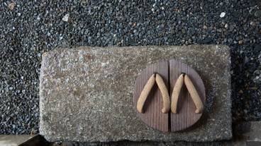 施設からの眺望 / 14