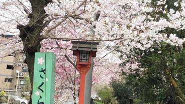 シティ ビュー / 12