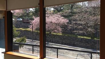 部屋からの景観 / 15
