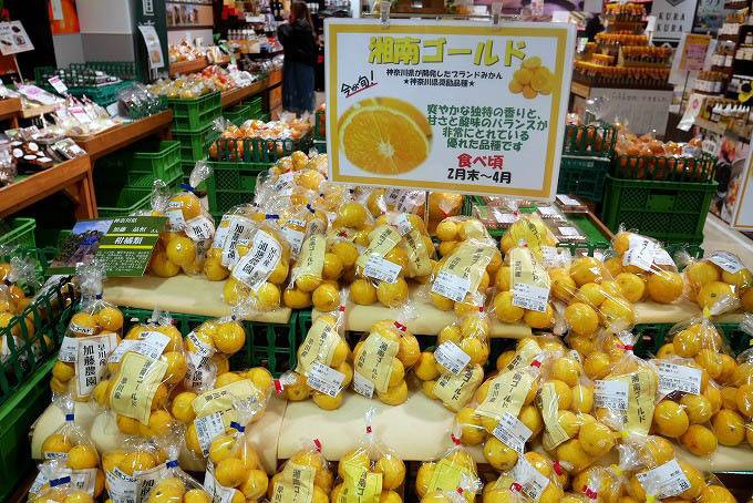 ドライブしながら
小田原漁港でランチ / 2