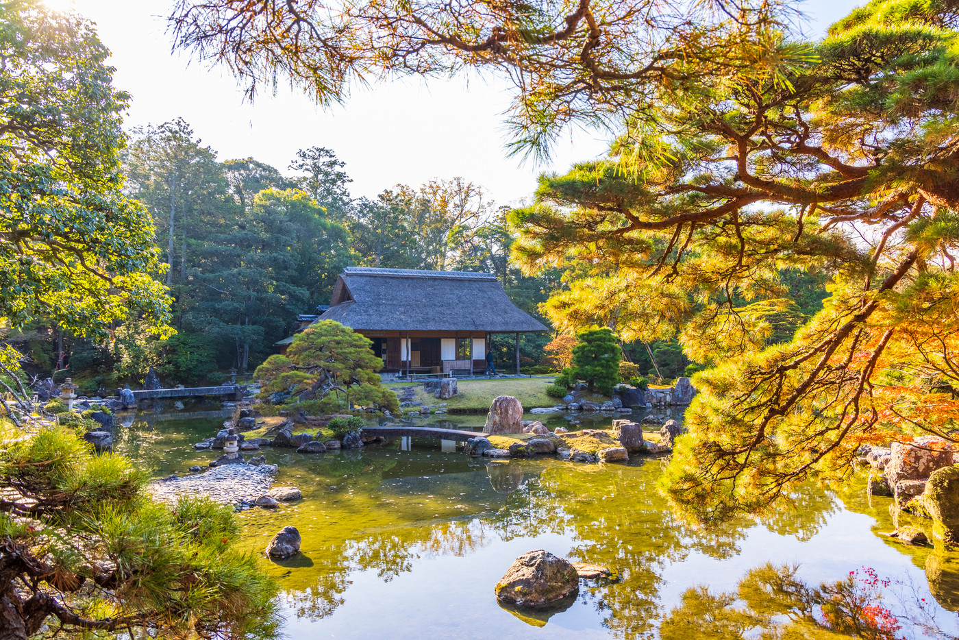 秋の紅葉に映える日本庭園 (京都 桂離宮)