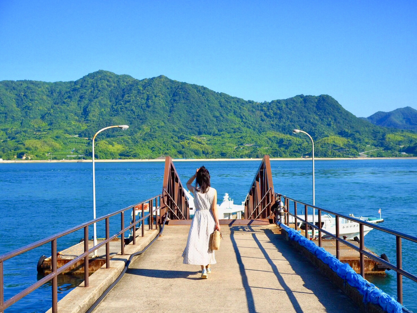 広島県大久野島で撮った写真です！青い海と自然で夏っぽさが際立ちました。大好きな一枚です！！