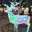 memi_trip