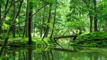 観光スポット / 19