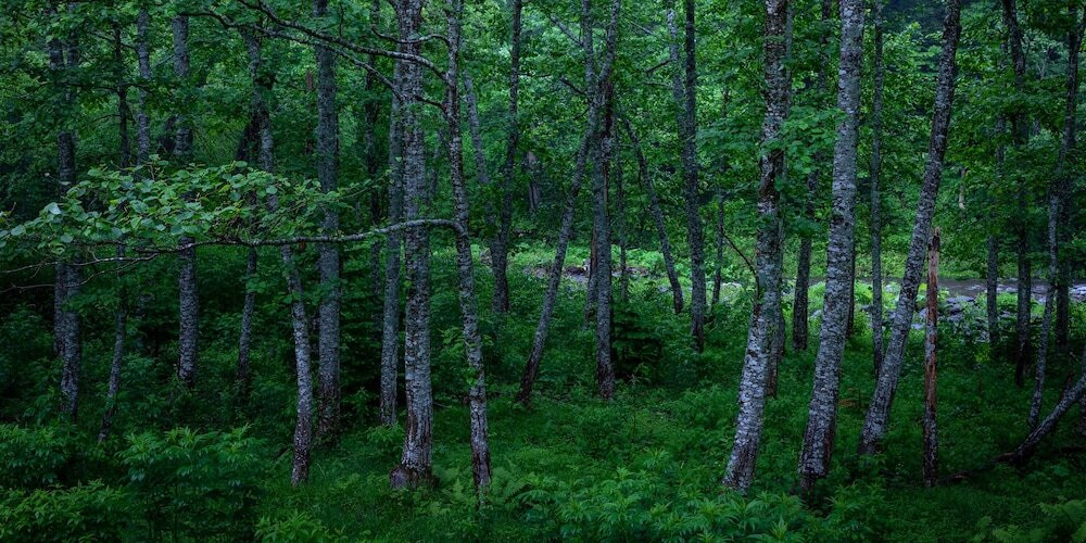 施設からの眺望