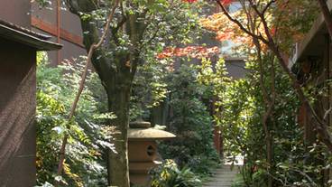 日本庭園内の小路 / 10