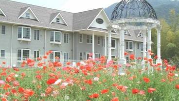 メイン イメージ / 1