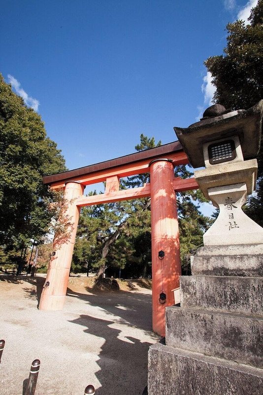 施設からの眺望