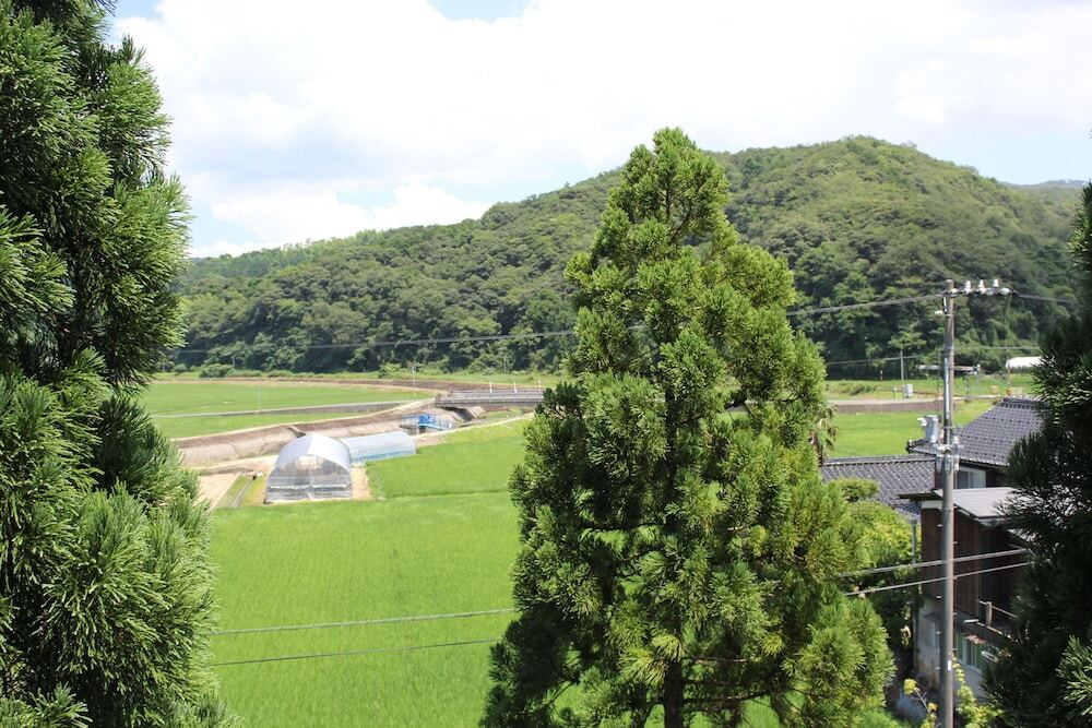 マウンテン ビュー