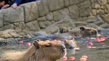 ランド ビュー / 35