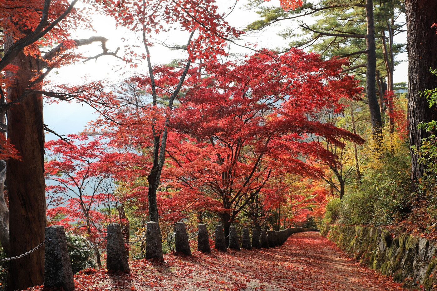 奈良県 吉野山の紅葉