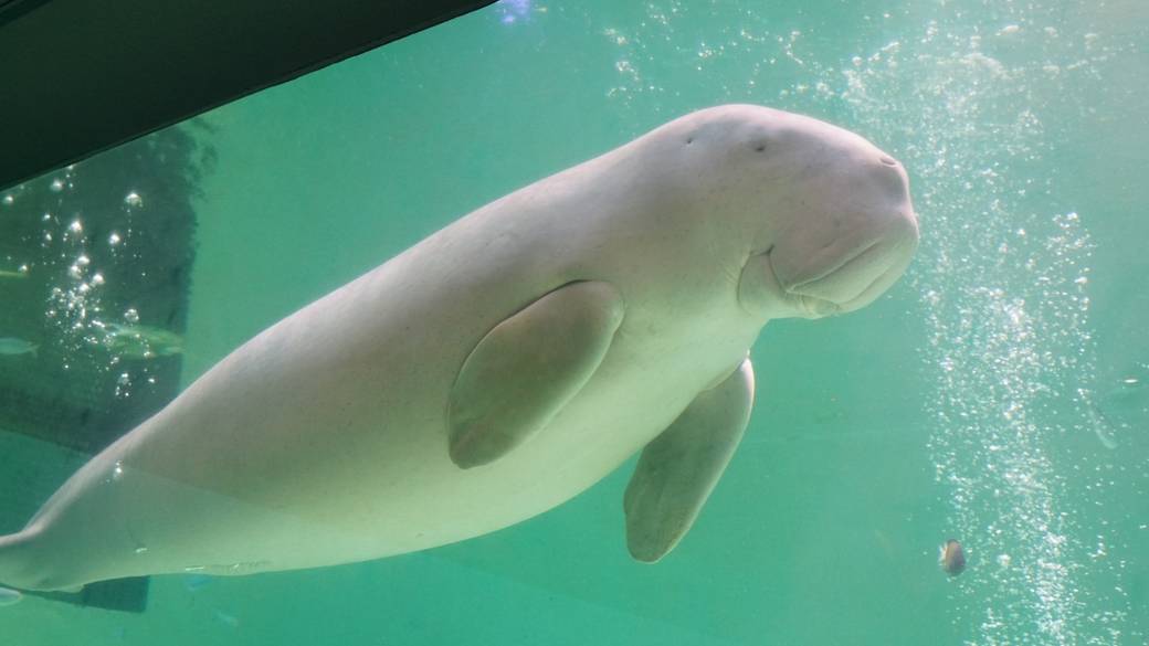 鳥羽水族館③ / 3
