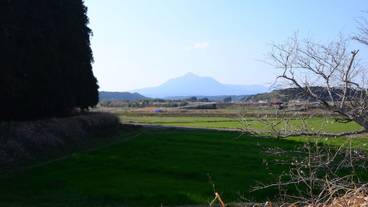 マウンテン ビュー / 39