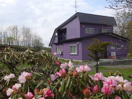 コテージクローバー / 1