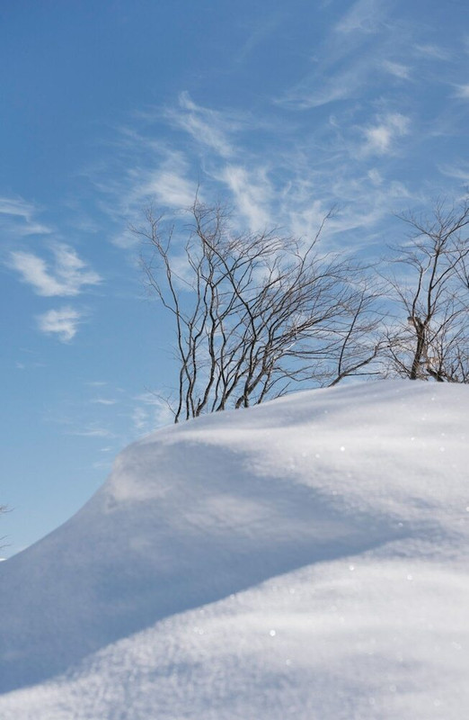 施設からの眺望