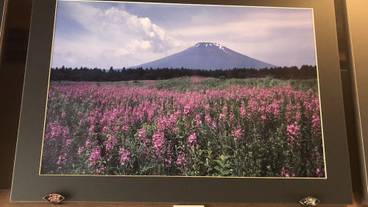 内装の詳細 / 12