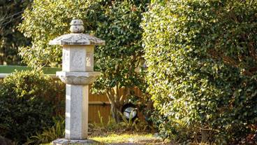 施設の敷地 / 18