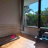 サンダンス・リゾート 御宿（千葉県 リゾートホテル） / 5