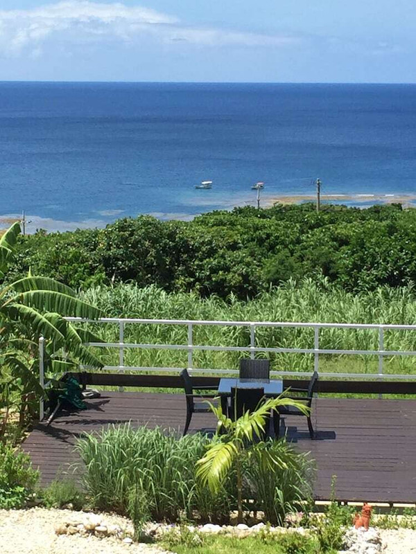 テラス / パティオ