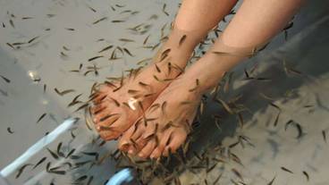 施設内の設備 / 12