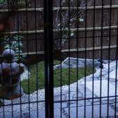 旅情の宿 ホテル金澤草紙（石川県 シティホテル） / 3