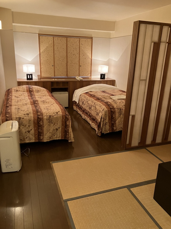 手前は畳部屋、奥はベッドルーム…畳と云うよりゴザ、カーペット