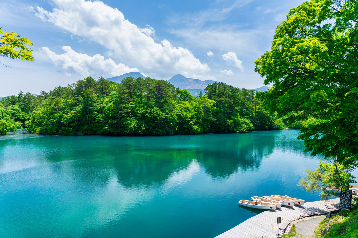 初夏の毘沙門沼(五色沼)の風景 新緑と湖面 福島県北塩原村
