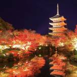 秋におすすめ！京都駅周辺の観光スポット9選｜紅葉やイチョウ、パワースポット♩