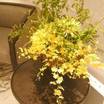 エレベーターホールに飾られた花
