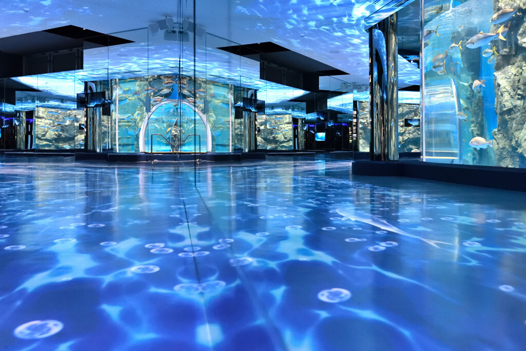 こちらで観光！ジンベイザメやペンギンの散歩を楽しむ「のとじま水族館」4244958