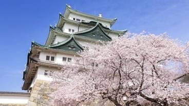 シティ ビュー / 18