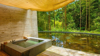 ジュニア スイート (Shizuku)