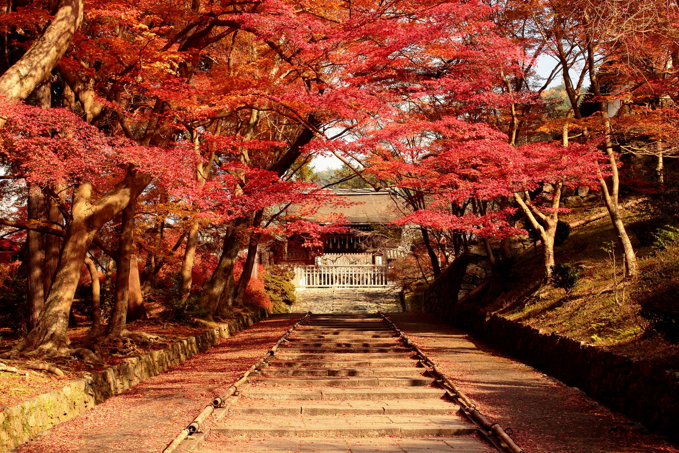 京都 毘沙門堂の紅葉