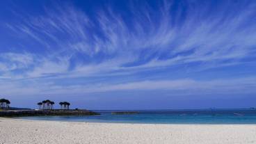 観光スポット / 5