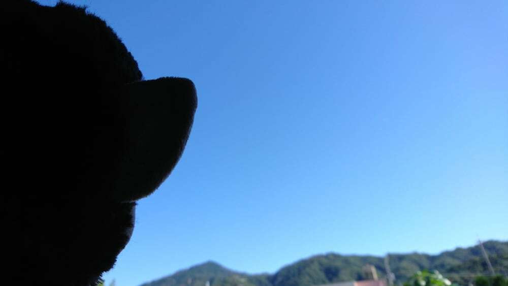 施設からの眺望