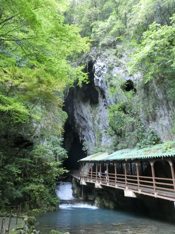 日本3位の規模の洞窟"秋芳洞"368392