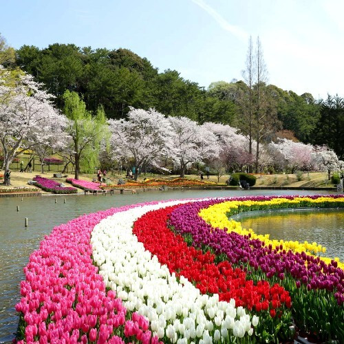 Hamamatsu Flower Park