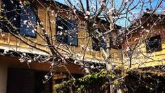 ゲストハウス 鎌倉ZEN-JI