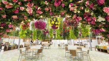 シティ ビュー / 33