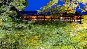 観光スポット / 18