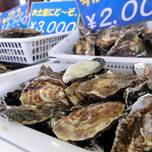 【岡山】日生漁協の『五味の市』で、牡蠣を思う存分堪能しよう！