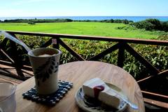 タカクラフトウ