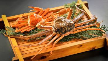 食事・飲み物 / 9